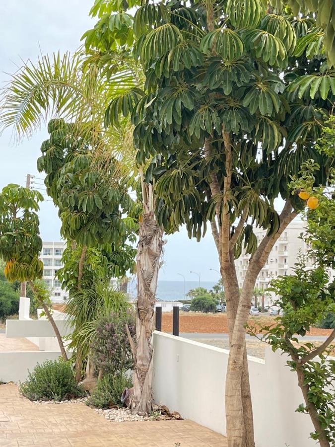Tonia Seaview Villas Protaras Eksteriør bilde