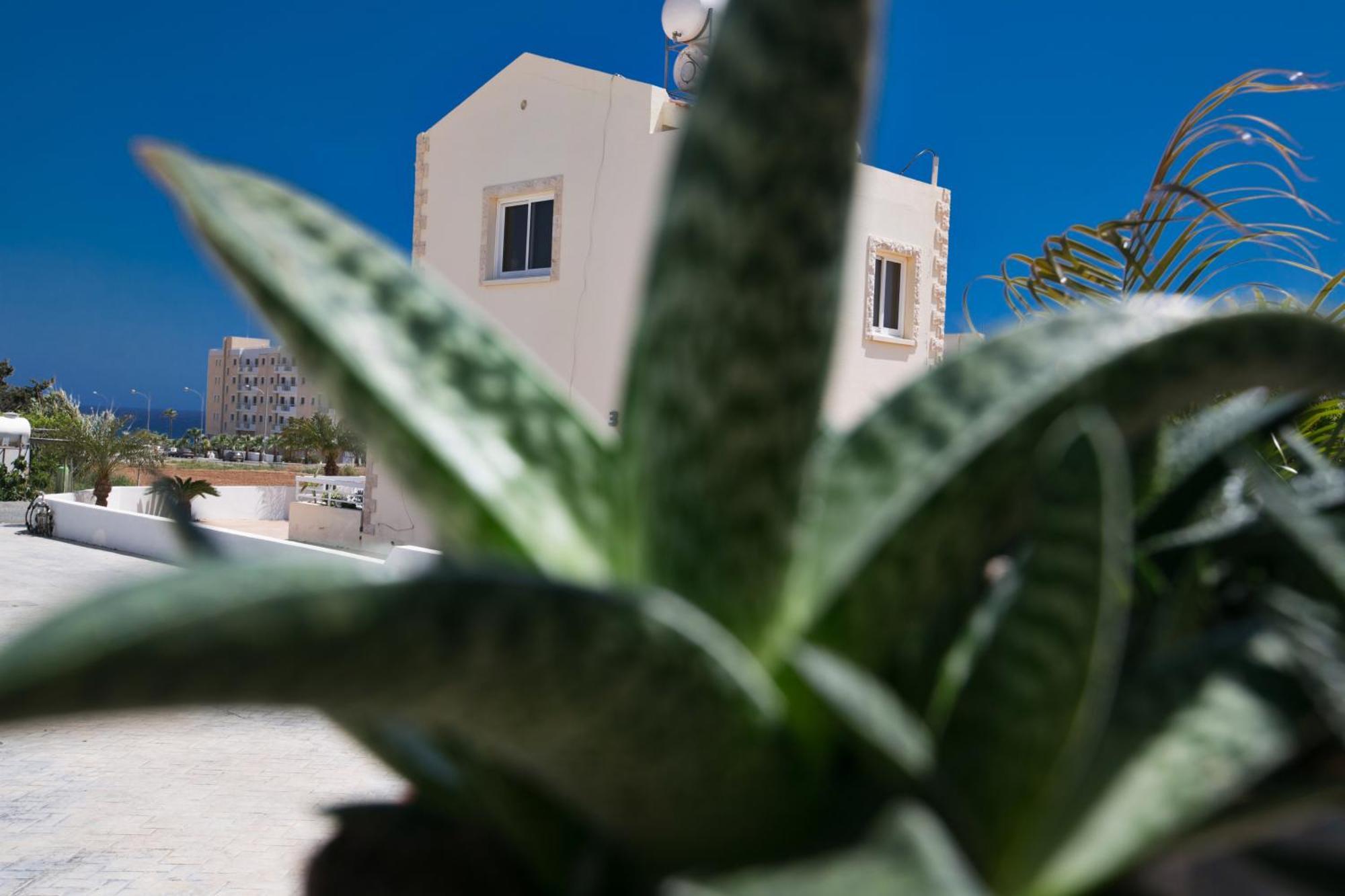 Tonia Seaview Villas Protaras Rom bilde
